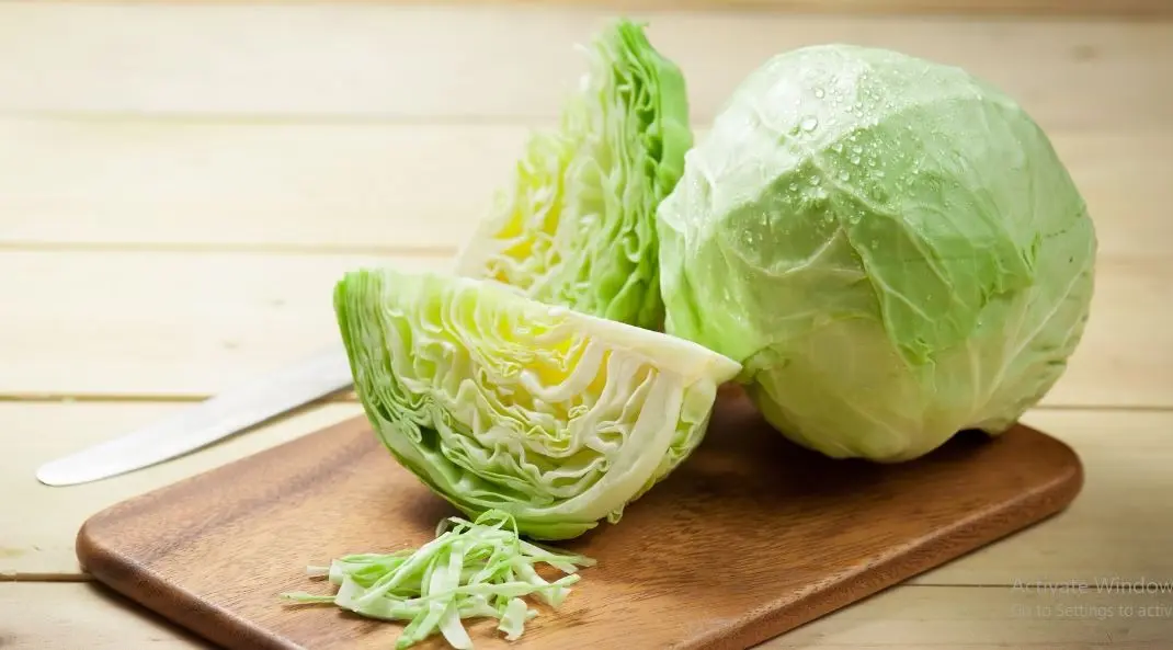 cabbage (2)