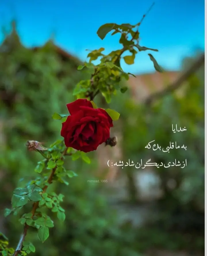 عکس نوشته خدا