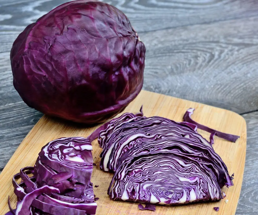  Red cabbage (4)