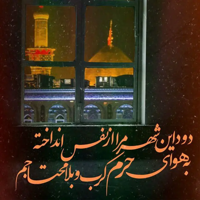 تصاویر با کیفیت اربعین حسینی (48)