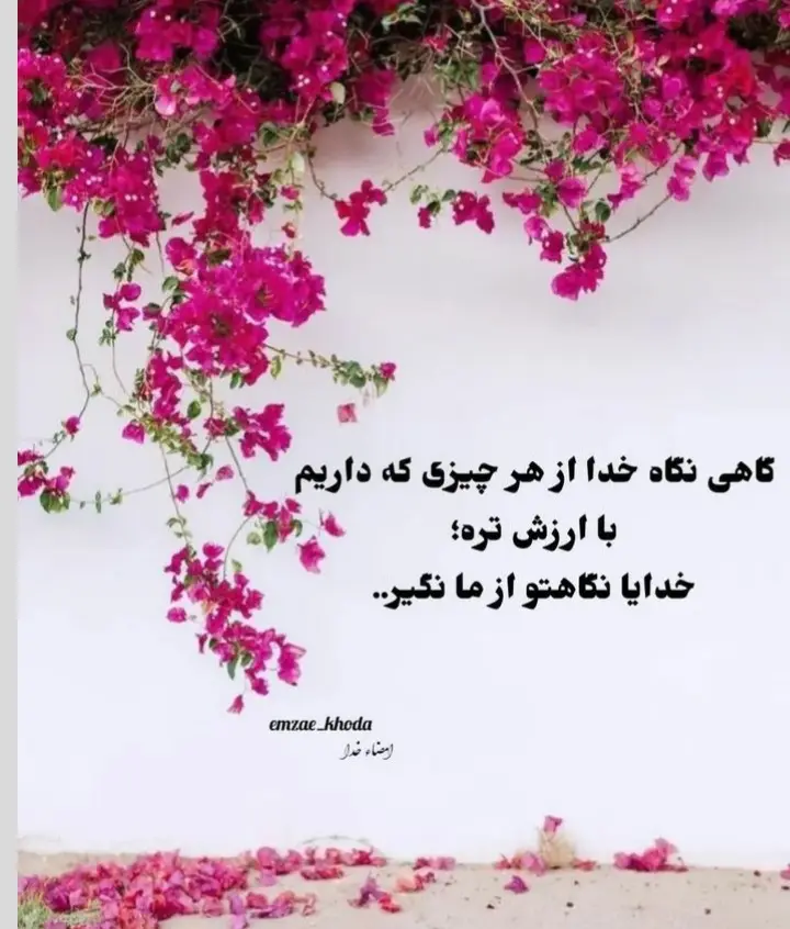 God_s profile (50)