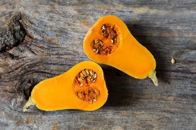 pumpkin (2)
