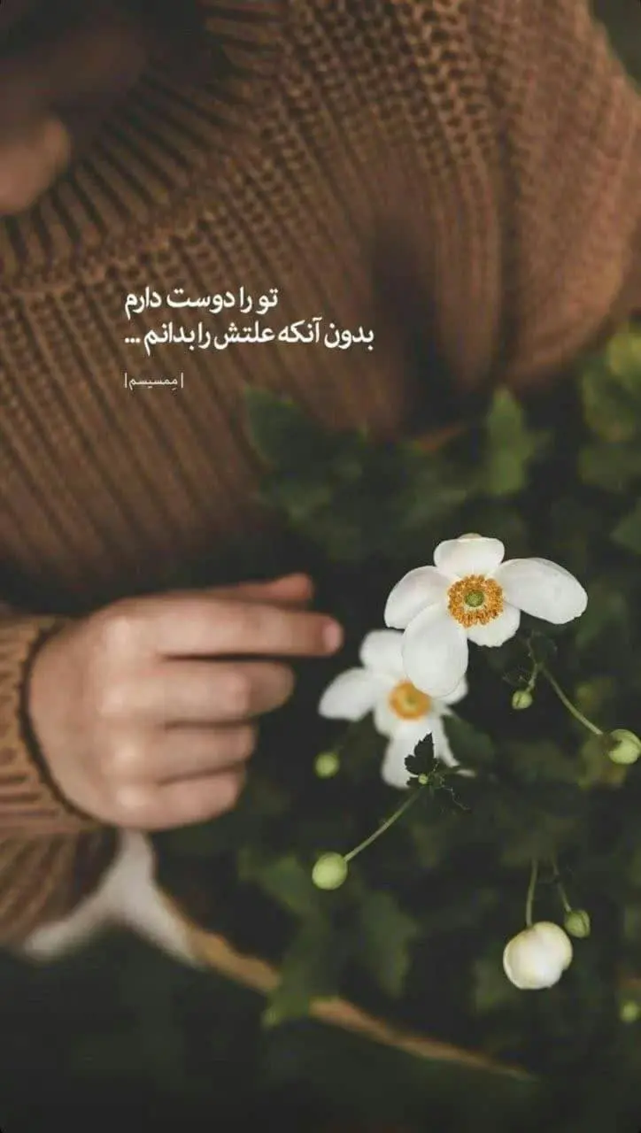 New profile picture (1)