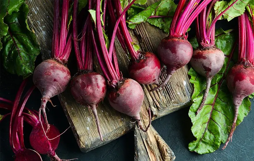 Beet (1)