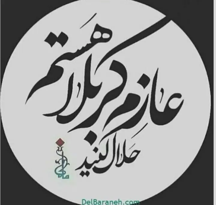 استوری عازم کربلا هستم حلالم کنید (2)