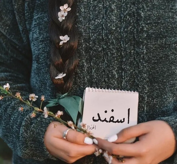 esfand profile (17)