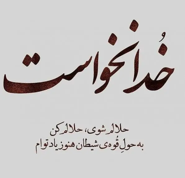 استوری عازم کربلا هستم حلالم کنید (14)