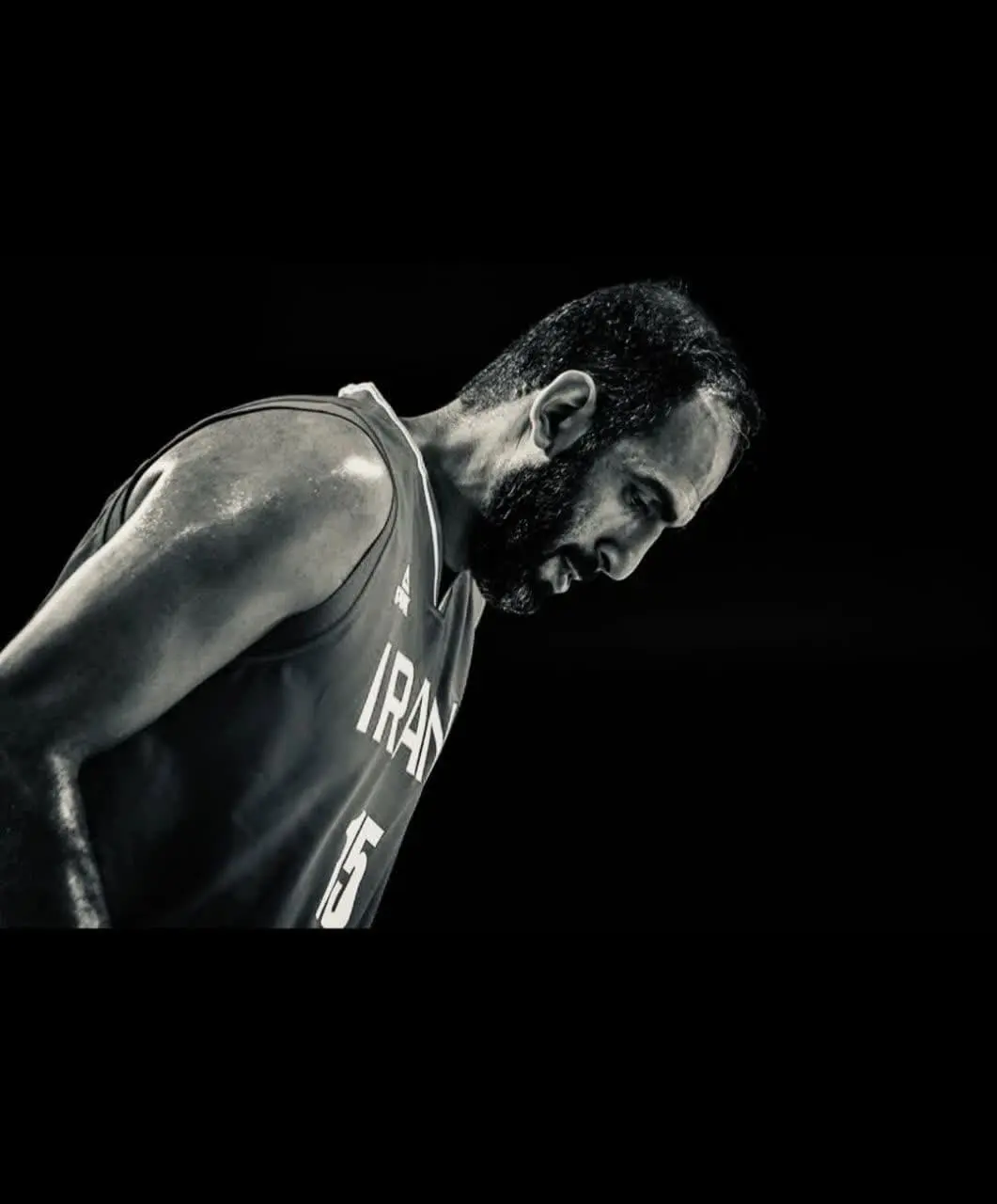 Hamed Haddadi (9)