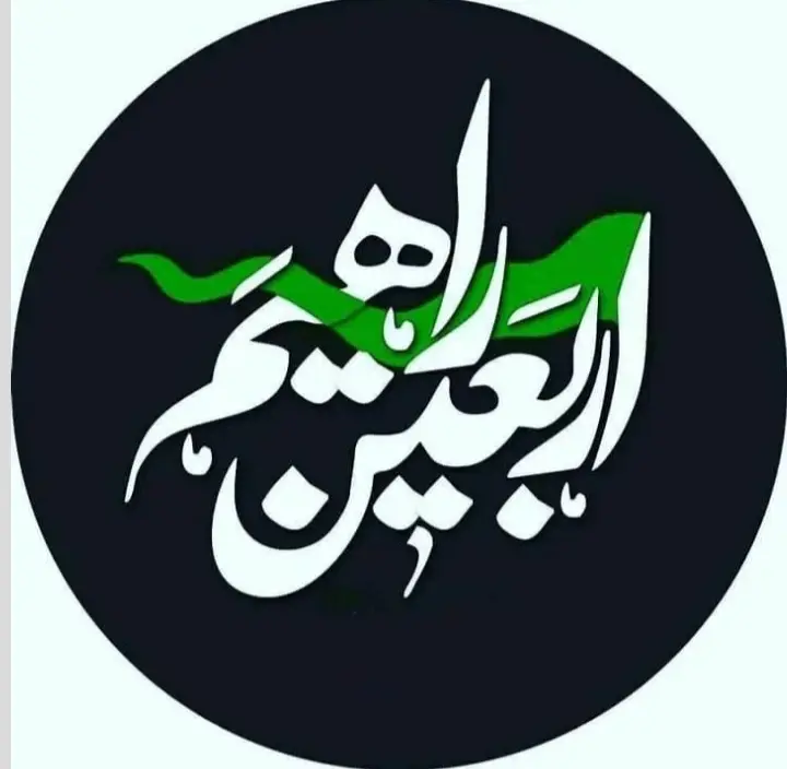 استوری عازم کربلا هستم حلالم کنید (35)