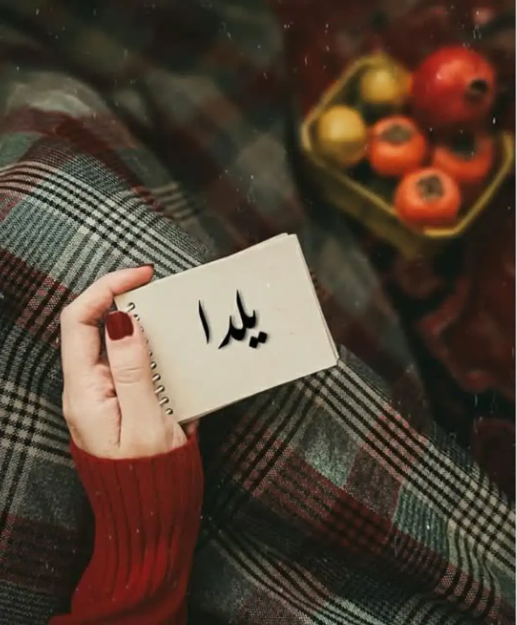 Yalda Night Profile (33)