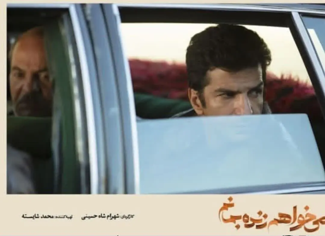 Mehdi Sabbaghi (8)