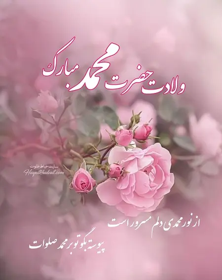 عکس نوشته تبریک میلاد پیامبر (4)