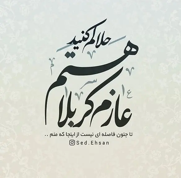 استوری عازم کربلا هستم حلالم کنید (12)