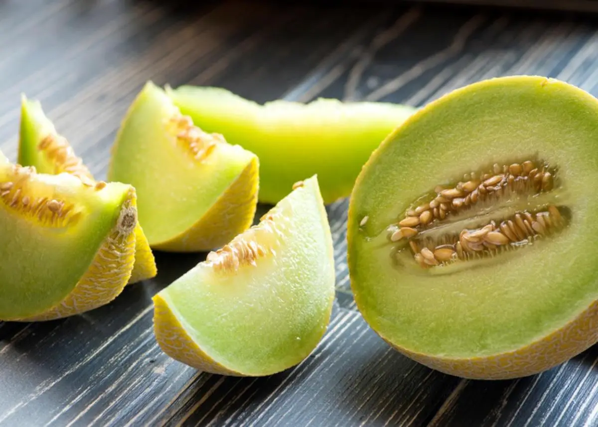Melon (5)