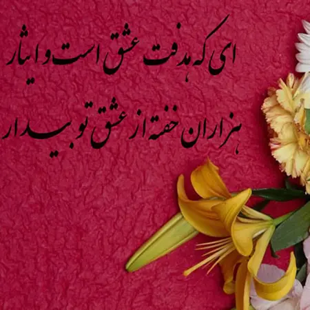 عکس روز معلم مبارک (13)