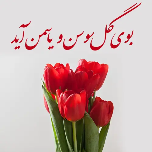 پروفایل دهه فجر (22)
