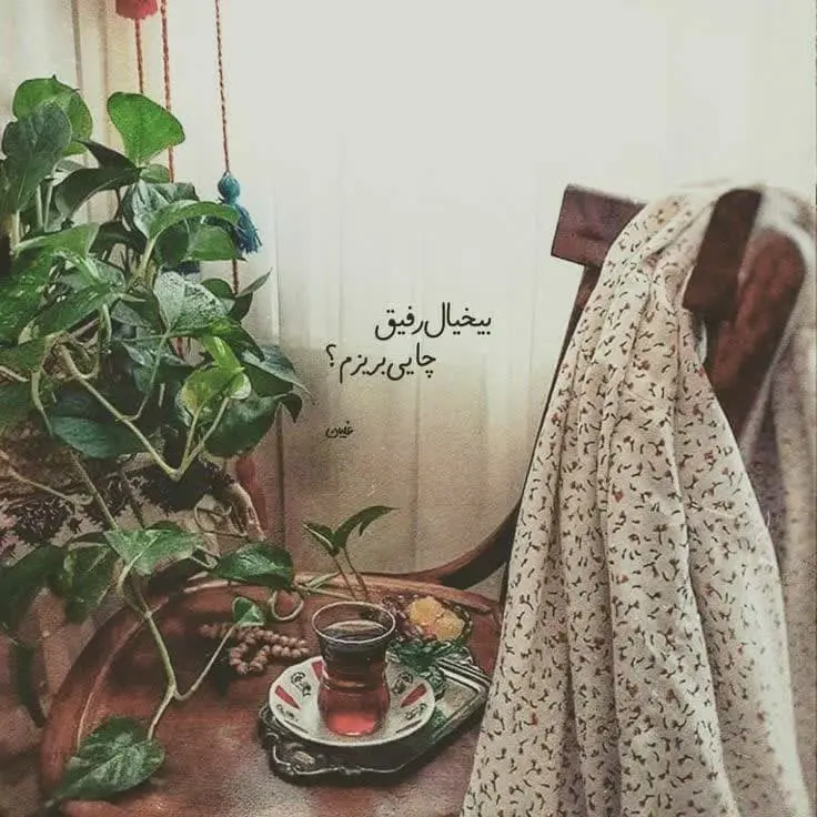 New profile picture (2)