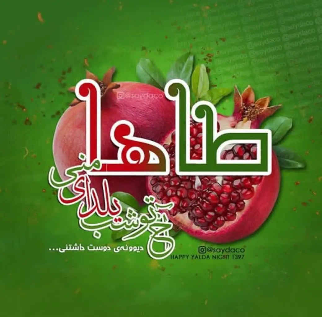 Yalda Night Profile (25)