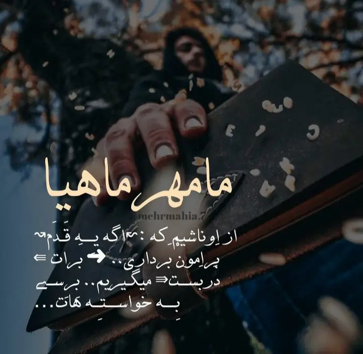 mehrmahi profile (16)