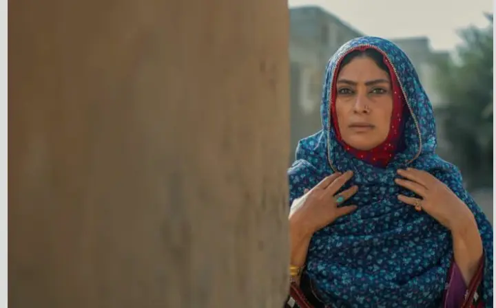 Soudabe Baidaei (6)