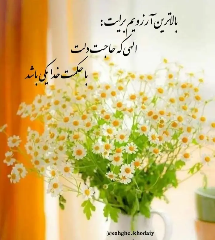 God_s profile (43)