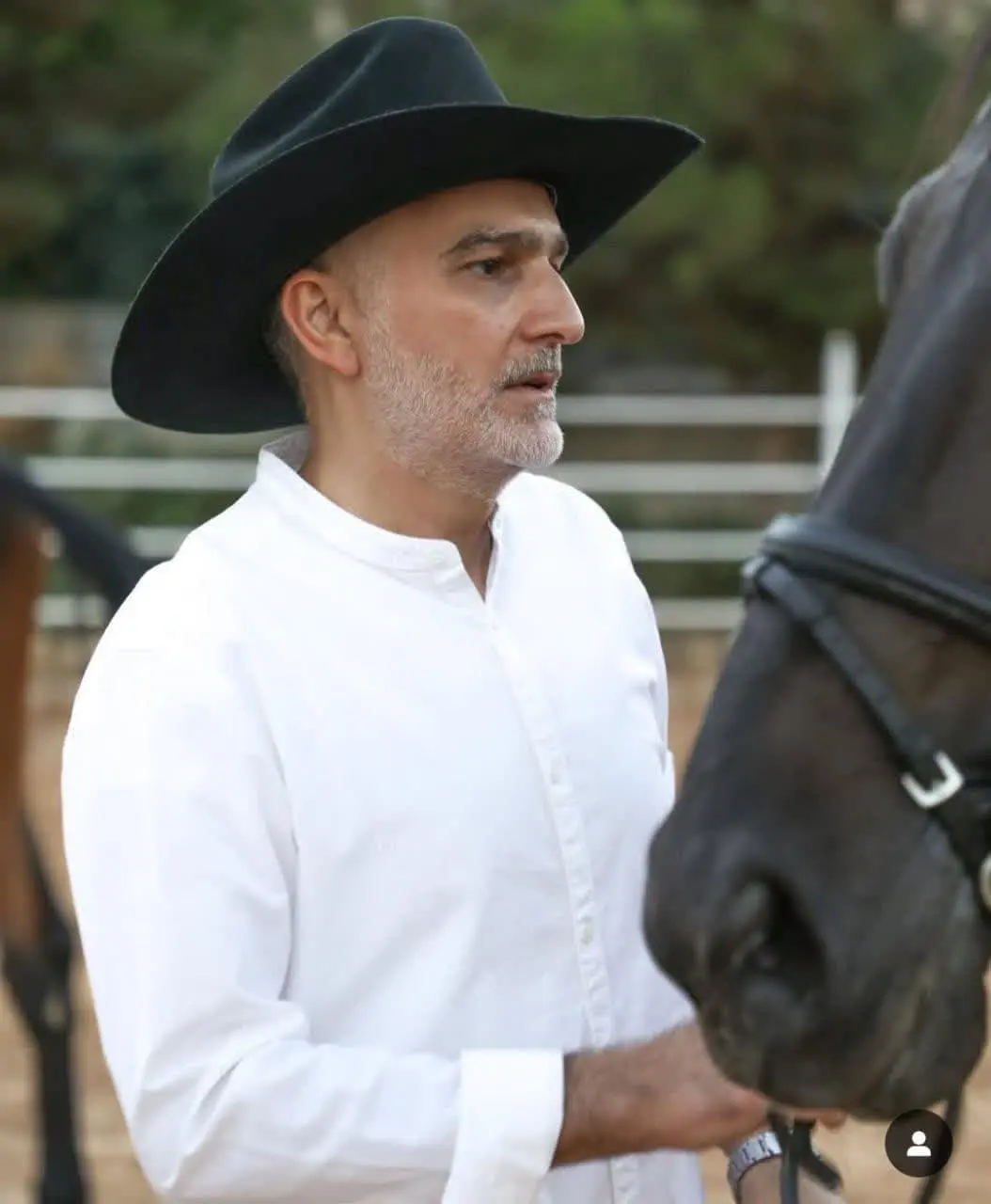 Bijan Banafshekhah (4)