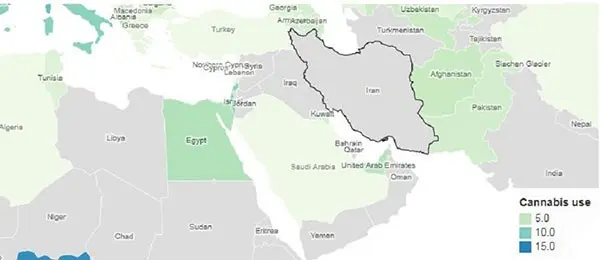 ماری‌جوآنا چه تاثیراتی روی مغز و بدن انسان دارد؟+ اینفوگرافی