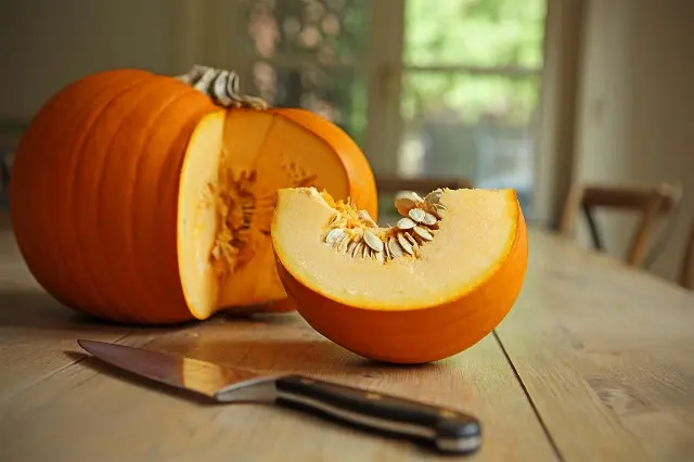pumpkin (4)