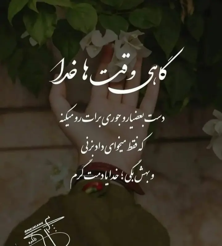 God_s profile (33)