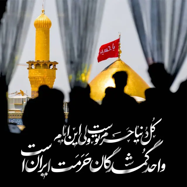 تصاویر با کیفیت اربعین حسینی (50)