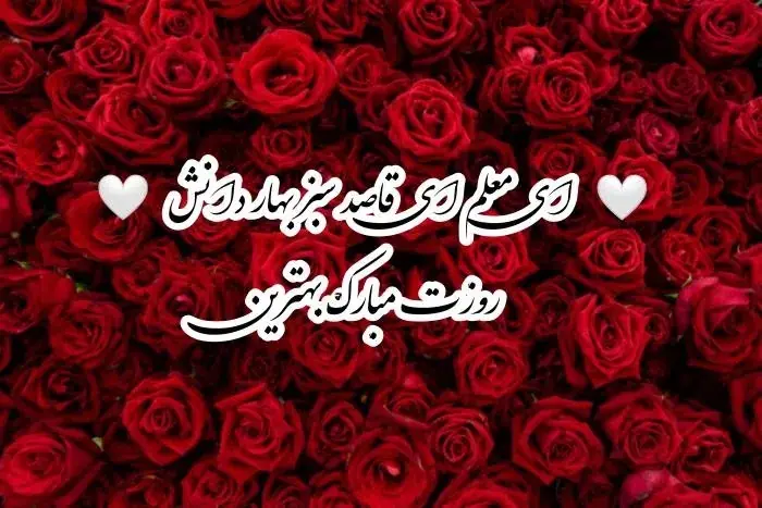 عکس روز معلم مبارک (7)