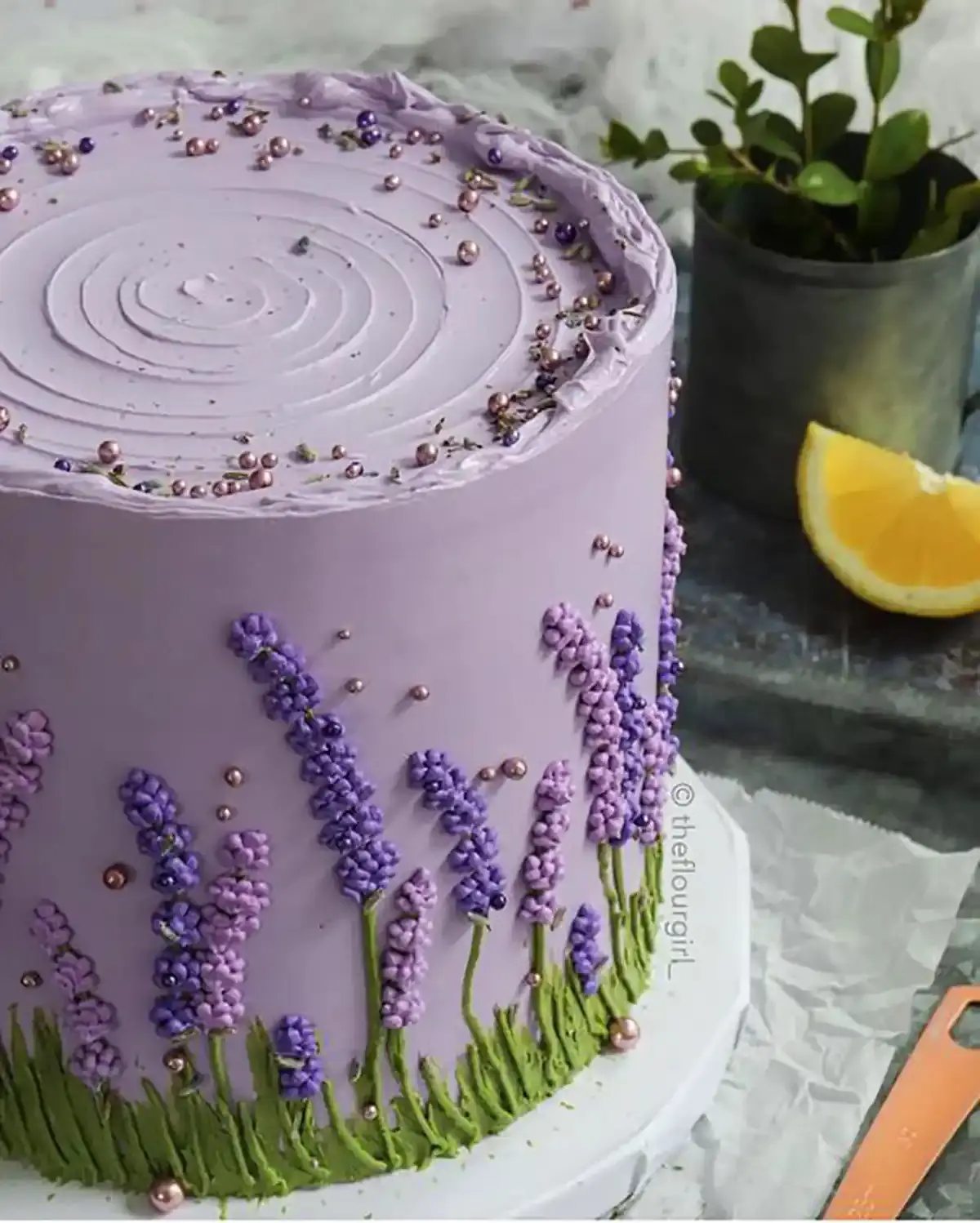 Birthday cake model (14)