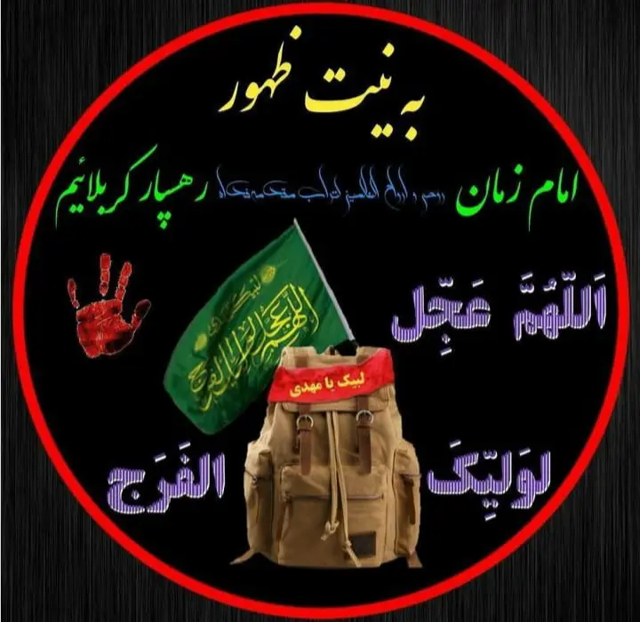 استوری عازم کربلا هستم حلالم کنید (29)