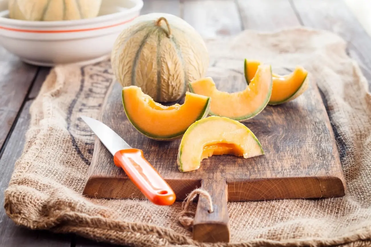 Melon (4)