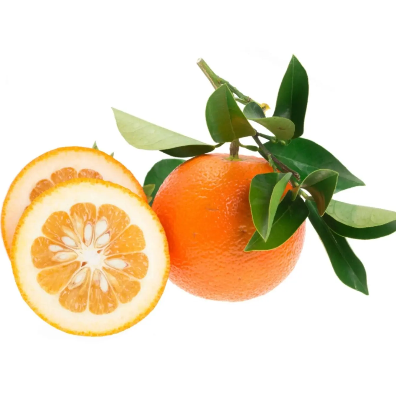 نارنج (1)