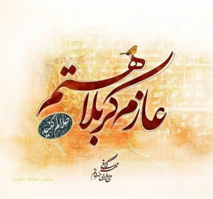 استوری عازم کربلا هستم حلالم کنید (30)