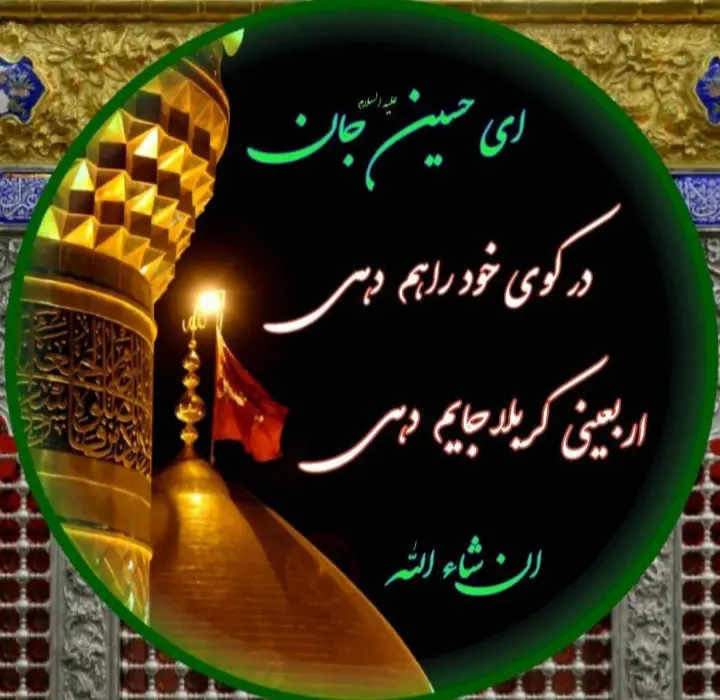 استوری عازم کربلا هستم حلالم کنید (26)