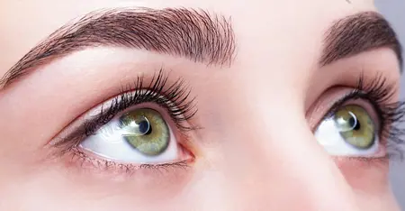 بن مژه ,بن مژه چیست,فواید بن مژه