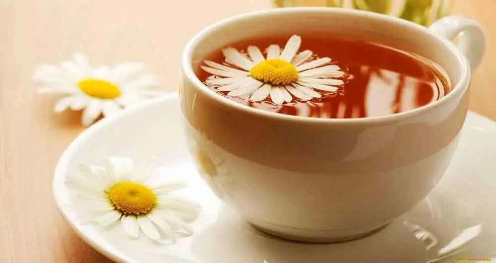 با مصرف این گیاهان دارویی، به سلامت از پاییز گذر کنید!