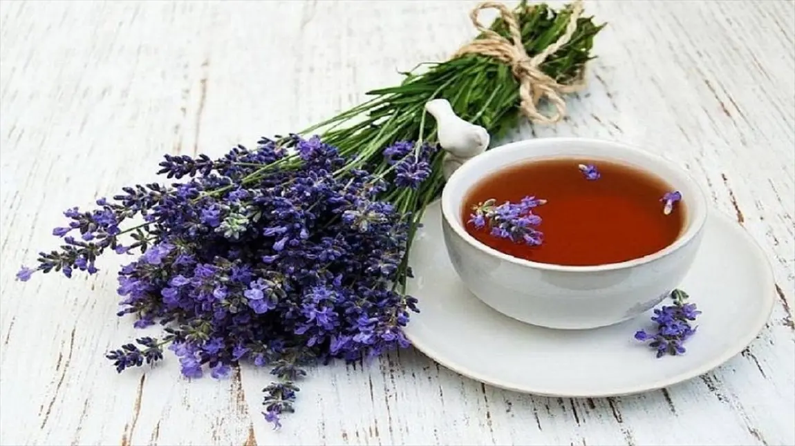 خواص گل گاو زبان را بشناسید از خواص گل گاو زبان غافل نمانید