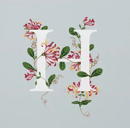 پوسترهای حرف H, کارت پستال حرف H
