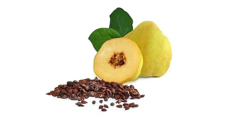دانه به دانه به