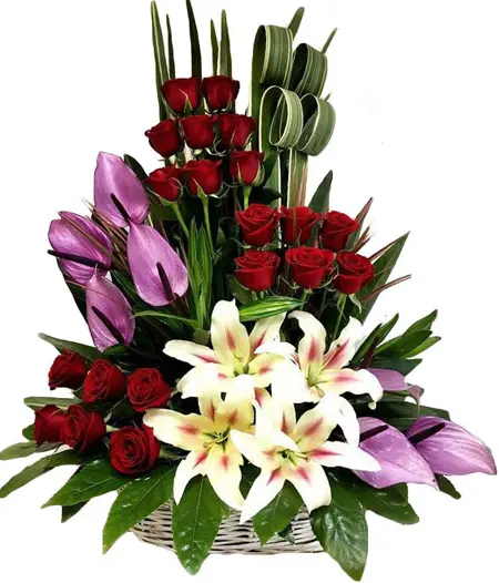 زیباترین گل های خواستگاری,دسته گل خواستگاری