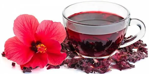 چای ترش چای ترش