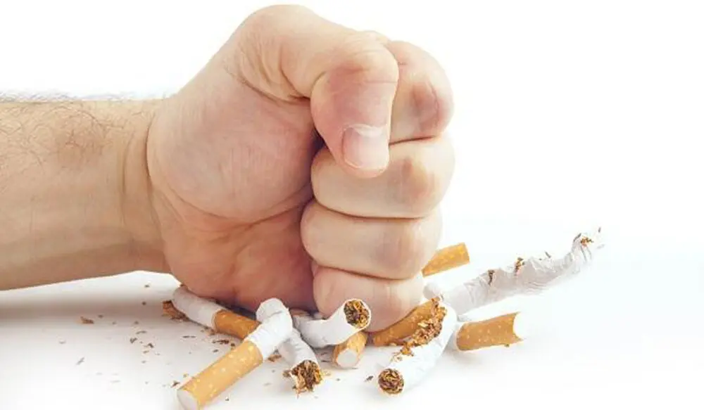 چگونه گردش خون خود را بهبود بخشیم؟