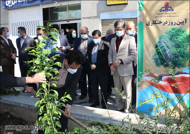 کارکنان زاگرس جنوبی با کاشت ۱۰۰۰ اصله نهال در روز درختکاری 17