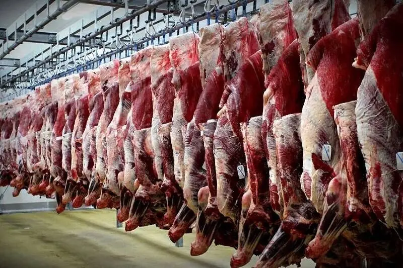 پیش بینی رییس اتحادیه گوشت گوسفندی تهران از قیمت گوشت در ماه رمضان