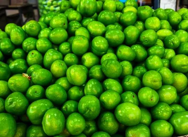 خواص گوجه سبز