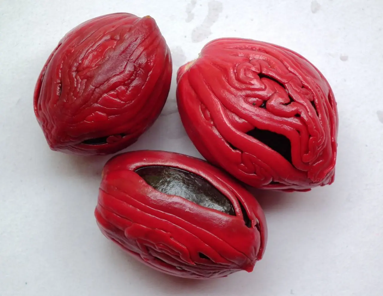 خواص جوز هندی
