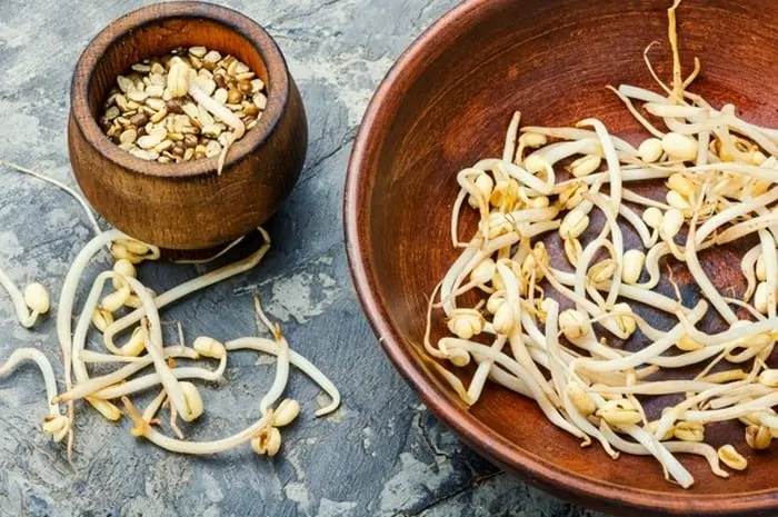 عوارض خوردن جوانه خام